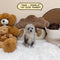 Pomsky (Toy Sized) – Female | Microchip 9426