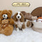 Petite Goldendoodle - 0361 (Male)