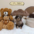 Petite Goldendoodle - 7775 (Female)