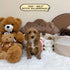 Petite Goldendoodle - 7650 (Male)