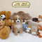 Petite Groodle - 7142 (Male)