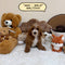 Maltipoo - 6641 (Male)