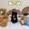 Pomsky - 9668 (Male)