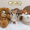 Corgi Pembroke Welsh - 9720 (Male)
