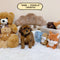 Cavapoo - 8480 (Female)