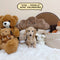 Mini Dachshund Cream Longhair - 0736 (Female)
