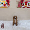 Cavapoo - 1051 (F)