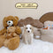 Mini Goldendoodle - 5533 (Male)
