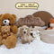Mini Dachshund Cream Longhair - 2164 (Male)
