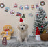 Golden Retriever - 6310 (F)