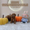 Mini Goldendoodle - 7022 (F)