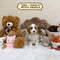 Petite Goldendoodle – Female | 2069