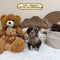 Petite Goldendoodle - 7775 (Female)