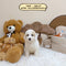 Mini Goldendoodle - 5541 (Male)
