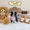 Pomsky - 5779 (Male)