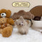 Pomsky (Toy Sized) – Female | Microchip 9420