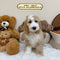 Petite Goldendoodle - 6764 (Male)