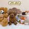 Petite Groodle - 8484 (Male)
