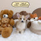 Corgi Pembroke Welsh - 9797 (Male)