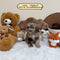 Petite Goldendoodle - 6732 (Female)
