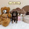 Petite Goldendoodle - 7645 (Male)