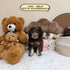 Petite Goldendoodle - 7645 (Male)