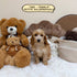 Petite Goldendoodle - 7665 (Female)
