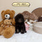 Petite Goldendoodle - 7653 (Male)