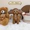 Petite Goldendoodle - 9995 (Female)