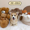 Corgi Pembroke Welsh - 8520 (Female)