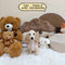 Mini Dachshund Cream Longhair - 2189 (Female)