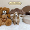 Petite Goldendoodle - 7642 (Female)