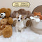 Corgi Pembroke Welsh - 0172 (Female)