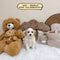 Mini Goldendoodle - 5521 (Female)