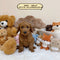 Petite Goldendoodle - 8484 (Male)