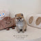 Pomsky - 0650 (Male)