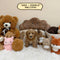 Maltipoo – Female | 2023